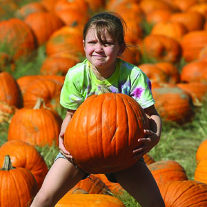 Halloween pumpkins